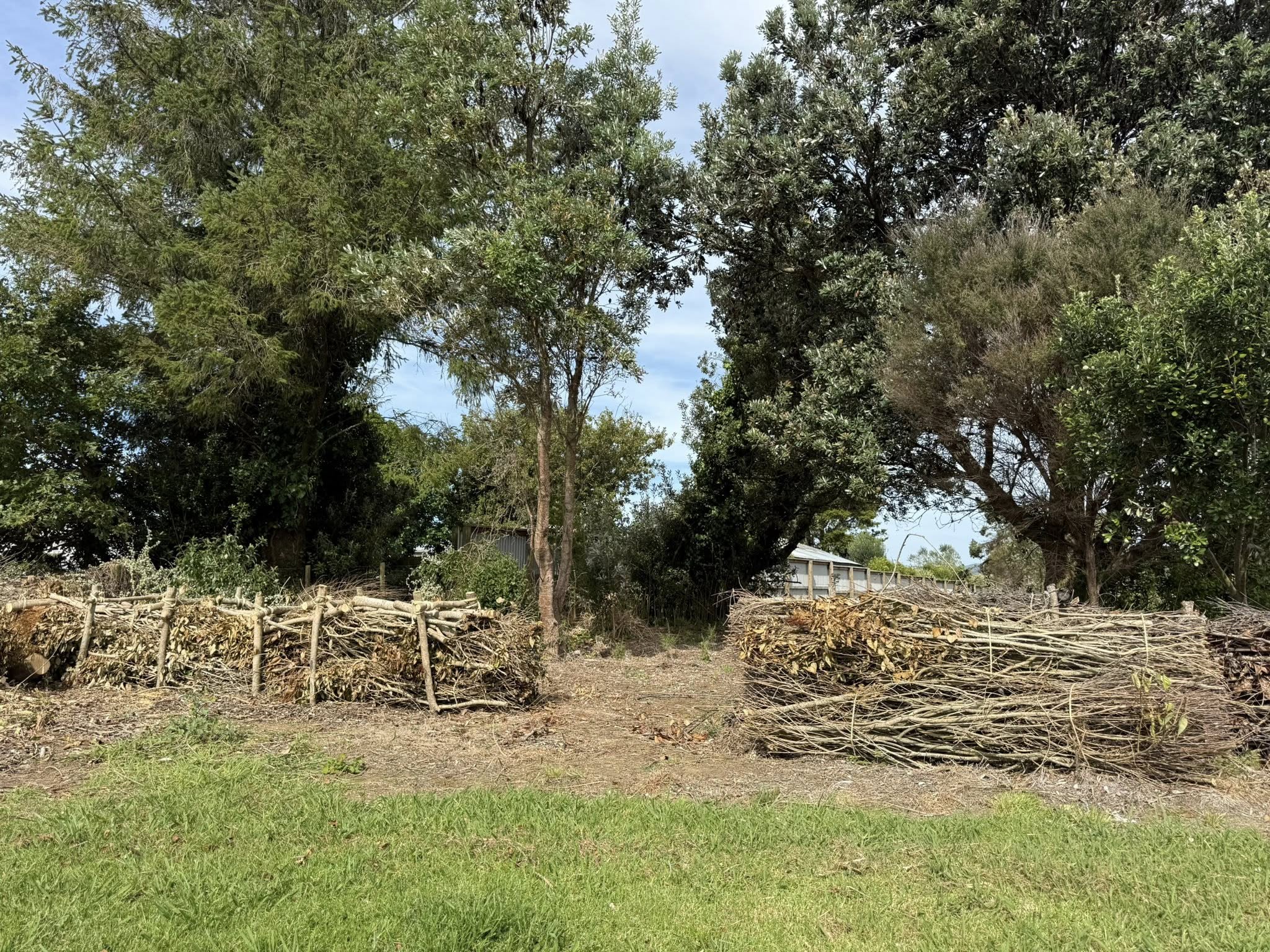 Awaroa Ki Karioitahi Landcare, February 2026