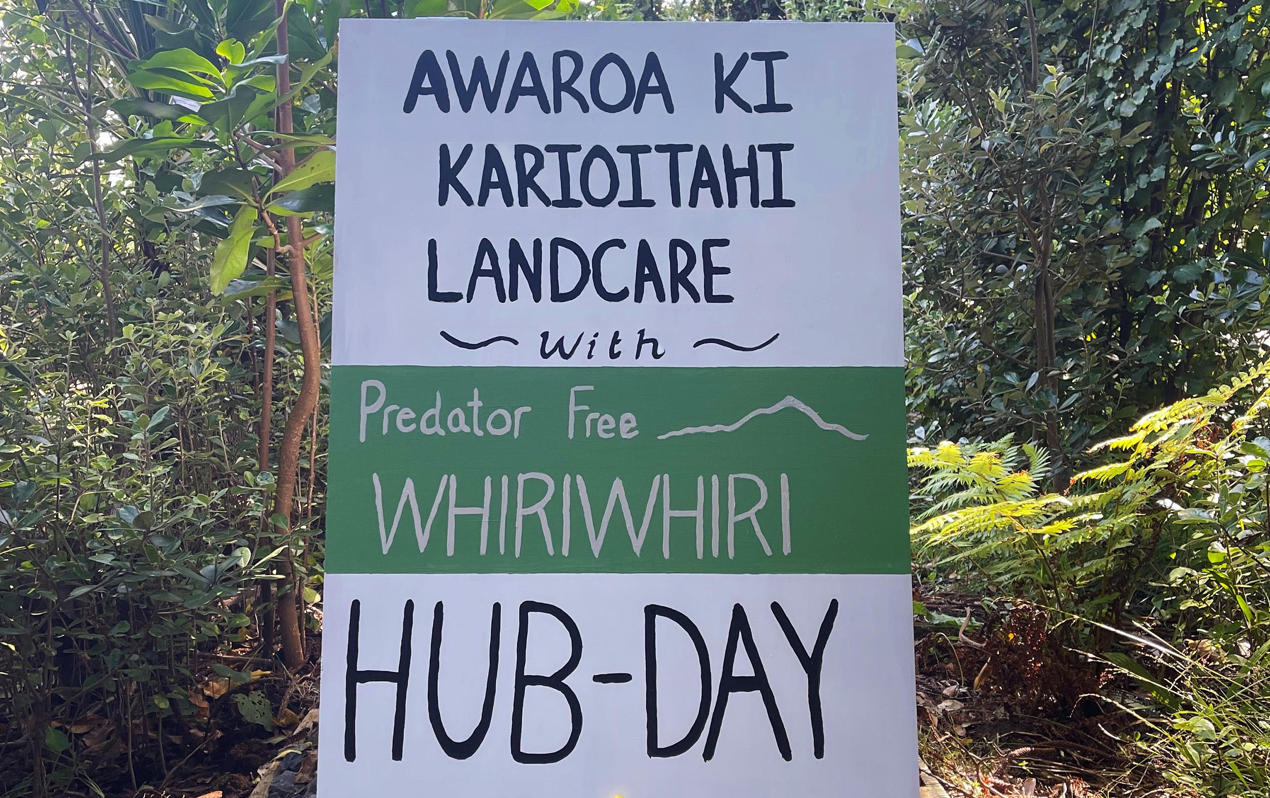 Awaroa Ki Karioitahi Landcare ... Hub Day